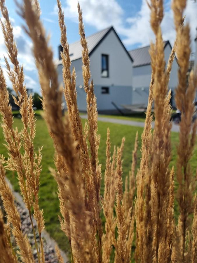 Siedlisko Na Wydmach, Domki Klimatyzowane Łeba Exterior foto